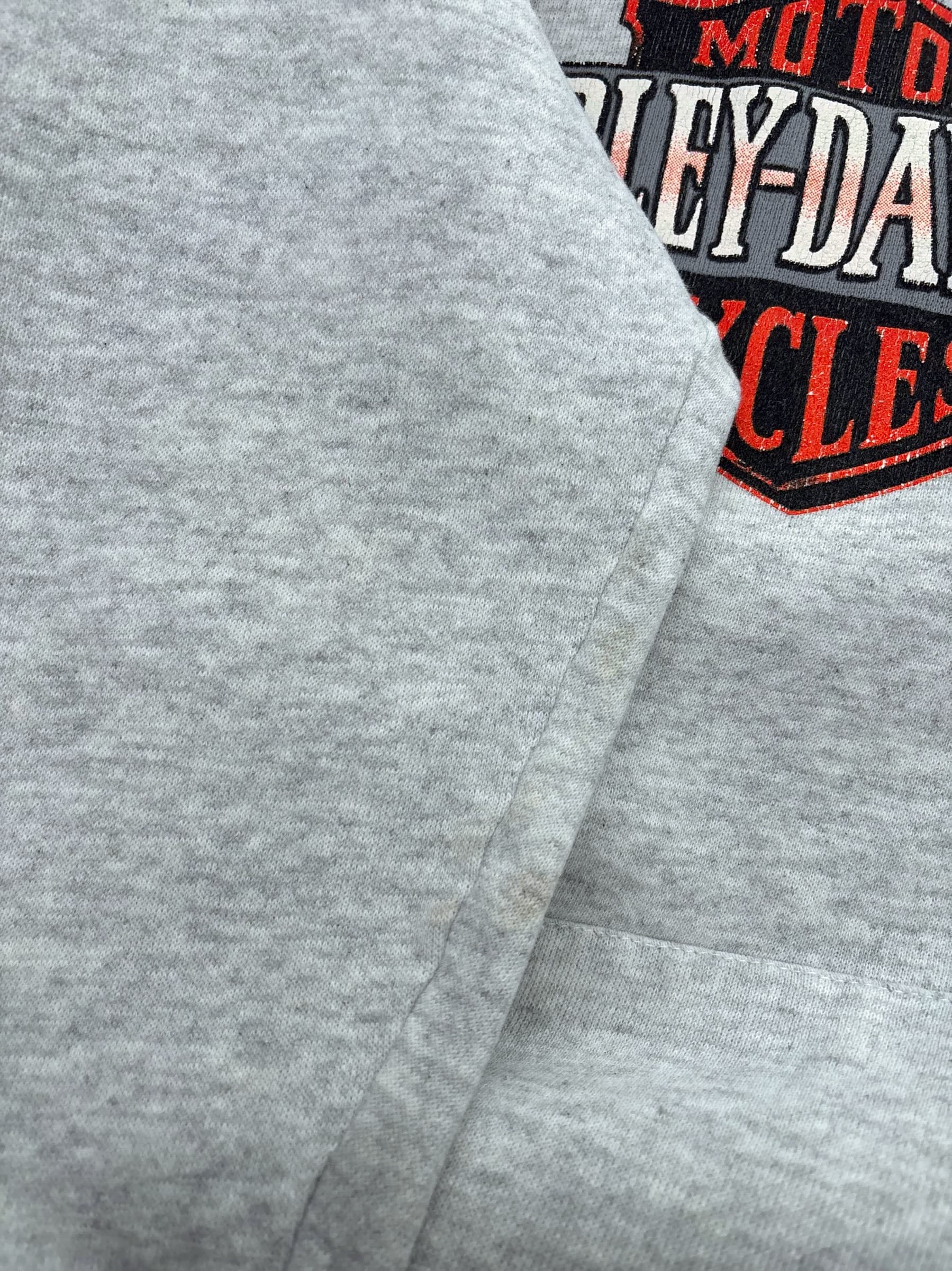 Felpa con cappuccio Harley Davidson vintage, foto 8