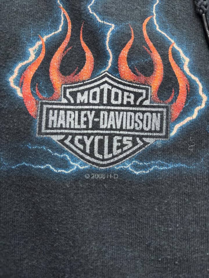 Harley Davidson Vintage Harley Davidson Zip Up Hoodie Flames Print - view 5 - Fabricsonder